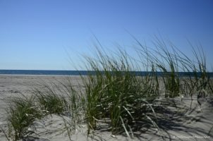 DK Strand 1